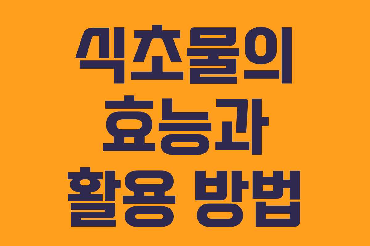 식초물의 효능과 활용 방법