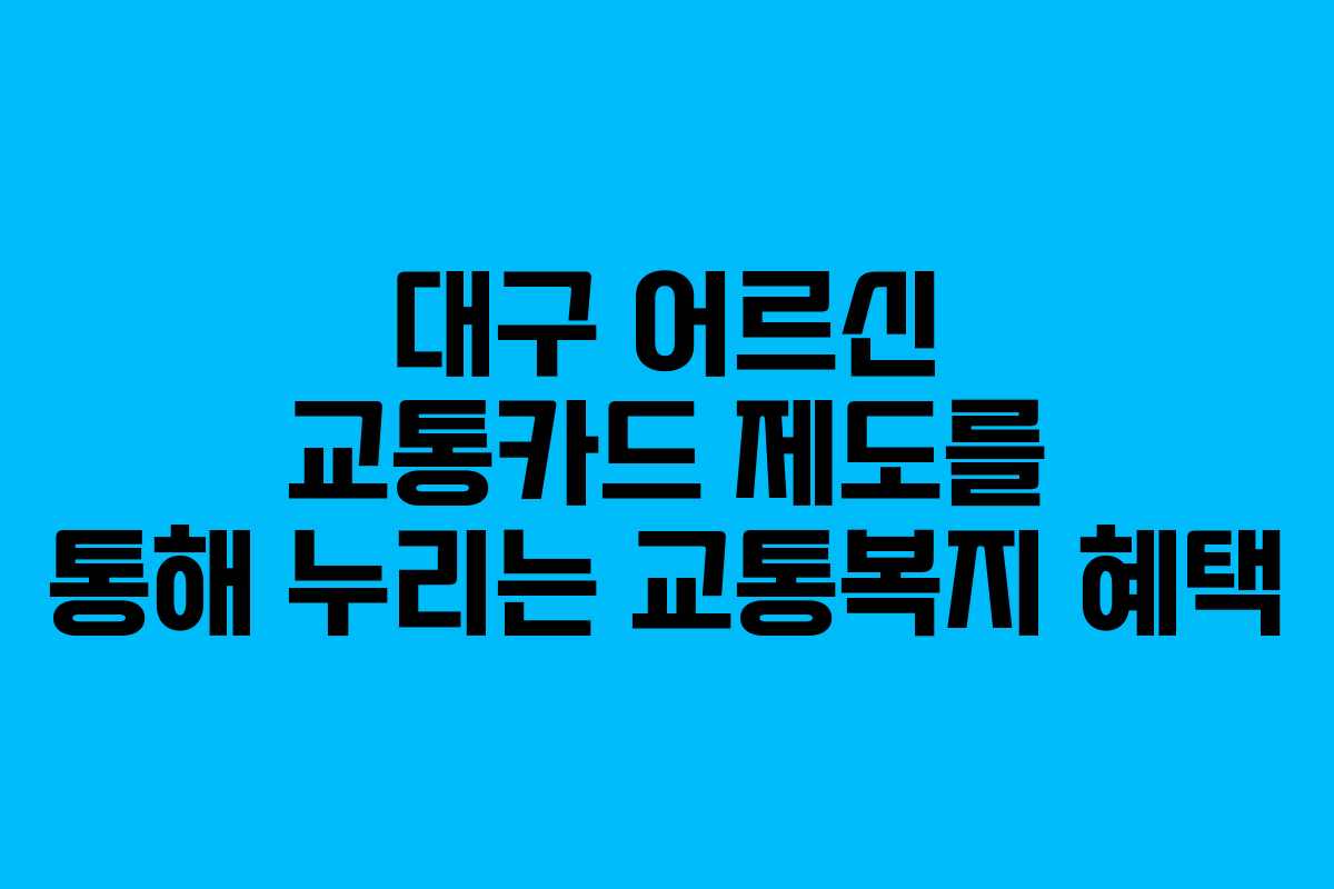 대구 어르신 교통카드 제도를 통해 누리는 교통복지 혜택