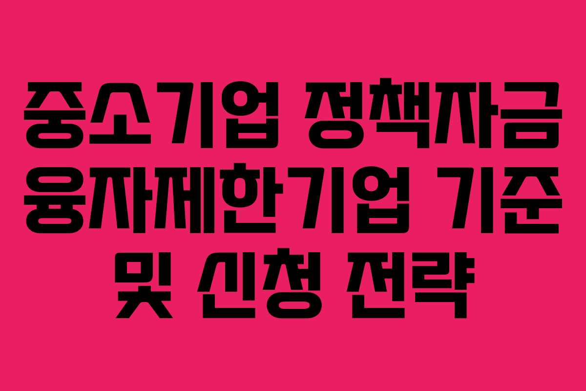 중소기업 정책자금 융자제한기업 기준 및 신청 전략