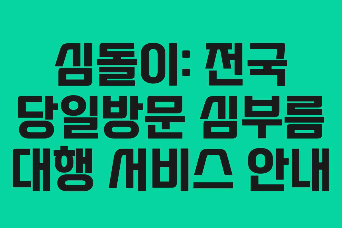 심돌이: 전국 당일방문 심부름 대행 서비스 안내
