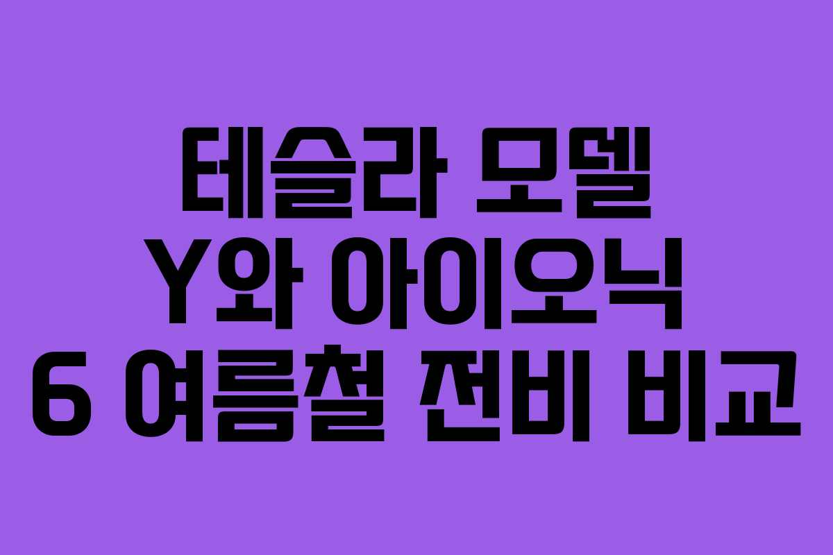 테슬라 모델 Y와 아이오닉 6 여름철 전비 비교