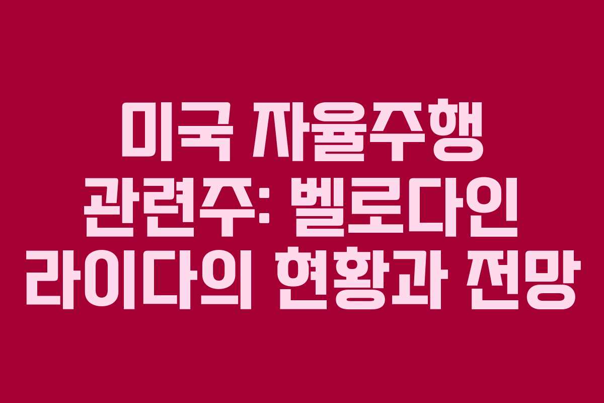 미국 자율주행 관련주: 벨로다인 라이다의 현황과 전망