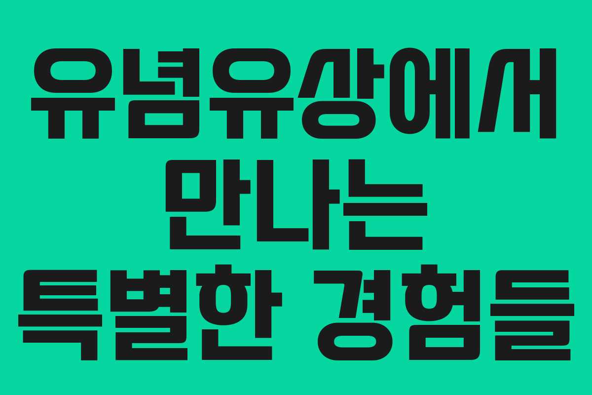 유념유상에서 만나는 특별한 경험들