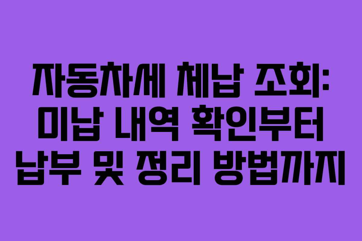 자동차세 체납 조회: 미납 내역 확인부터 납부 및 정리 방법까지