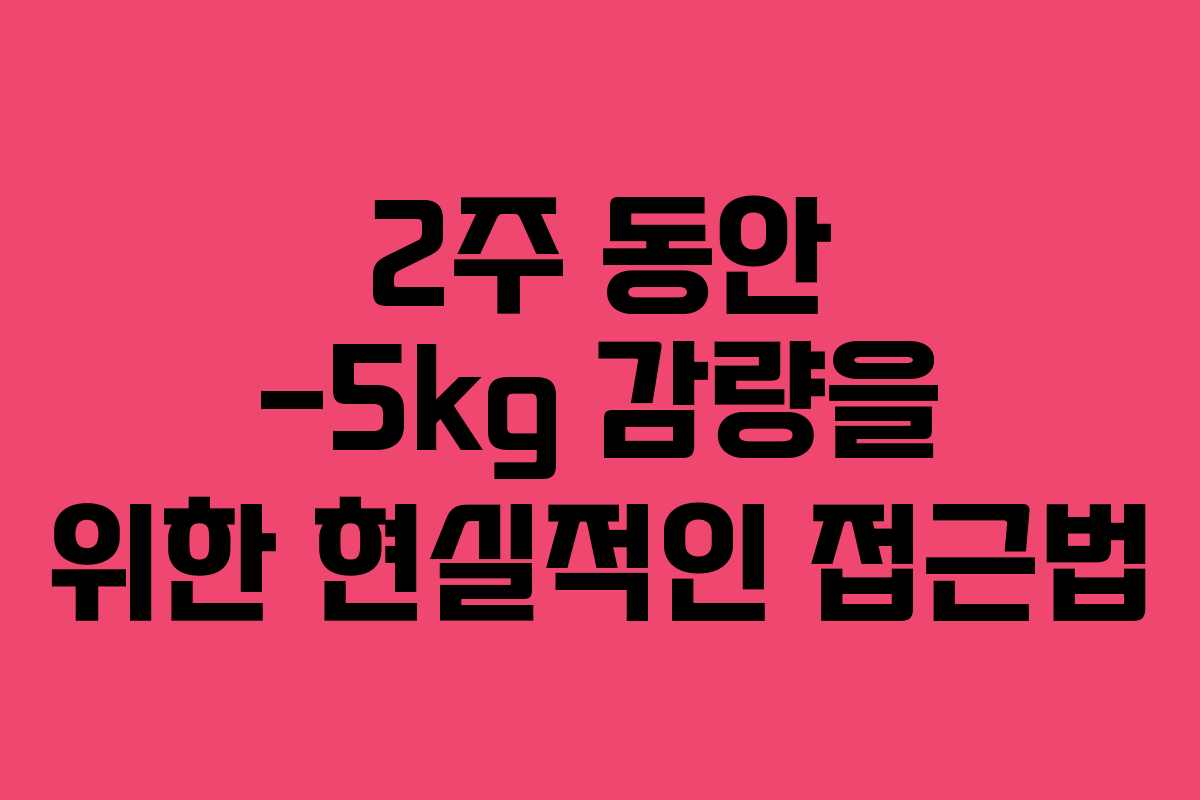 2주 동안 -5kg 감량을 위한 현실적인 접근법