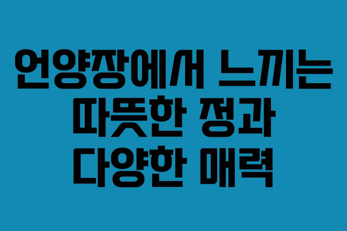 언양장에서 느끼는 따뜻한 정과 다양한 매력