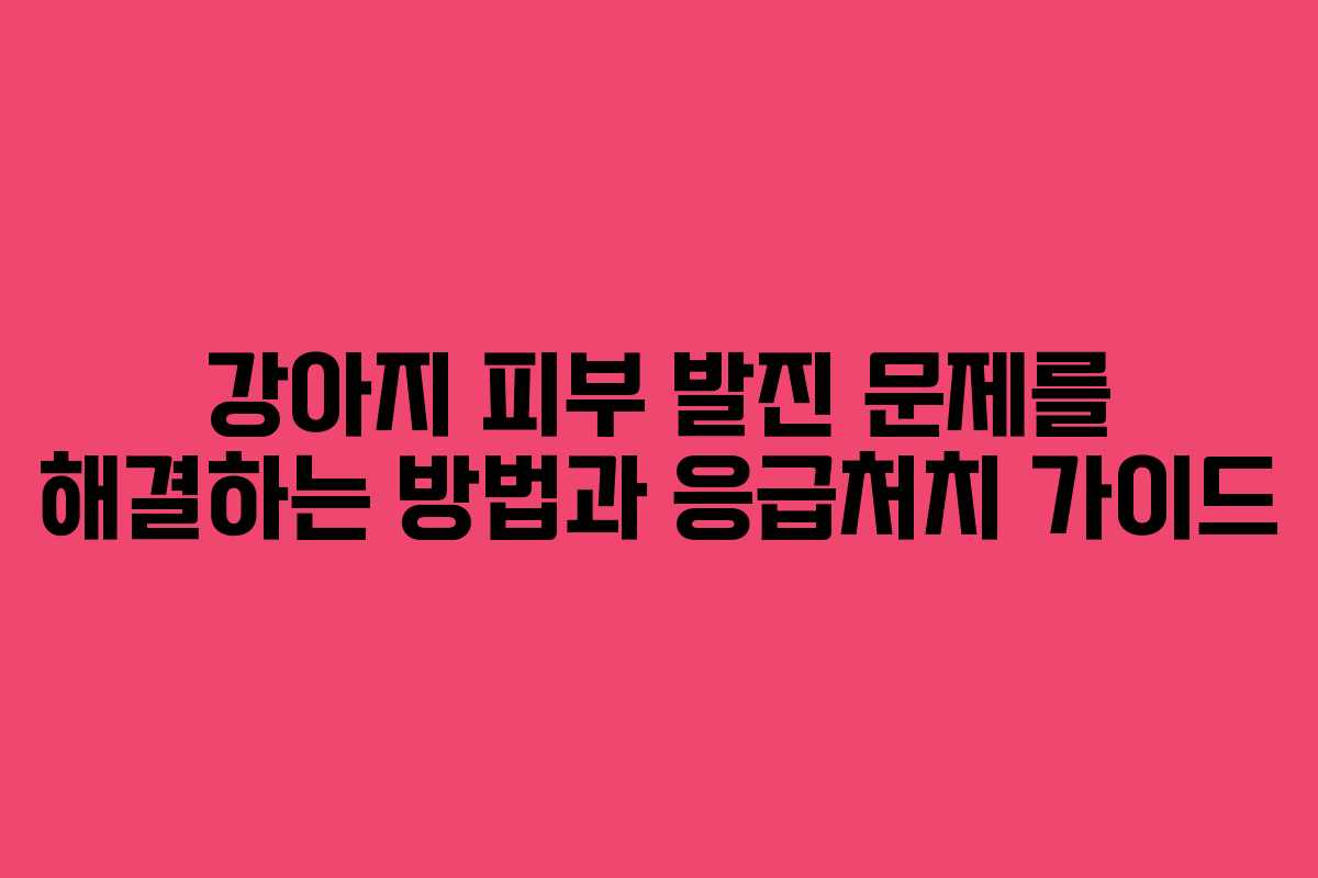 강아지 피부 발진 문제를 해결하는 방법과 응급처치 가이드