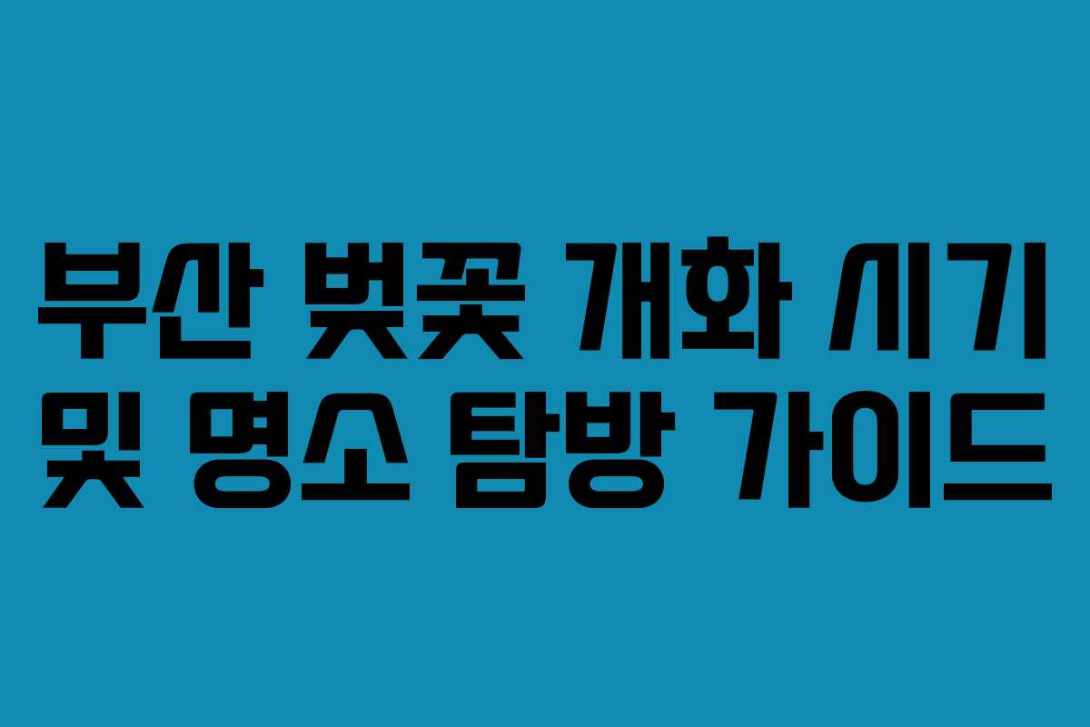 부산 벚꽃 개화 시기 및 명소 탐방 가이드