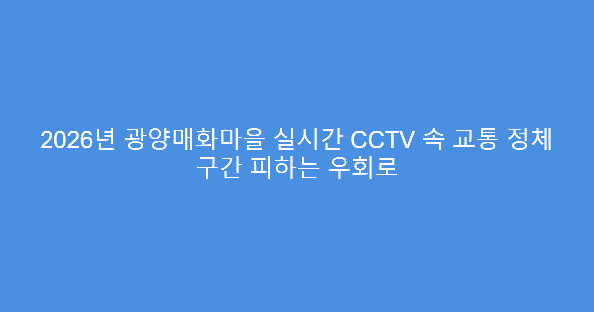 2026년 광양매화마을 실시간 CCTV 속 교통 정체 구간 피하는 우회로