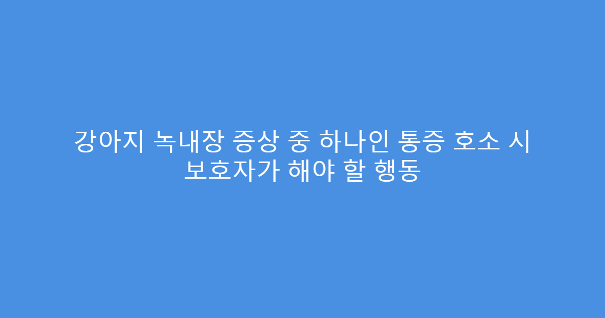 강아지 녹내장 증상 중 하나인 통증 호소 시 보호자가 해야 할 행동