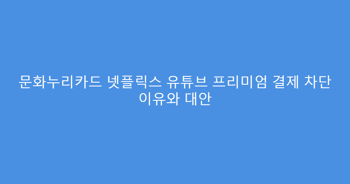 문화누리카드 넷플릭스 유튜브 프리미엄 결제 차단 이유와 대안