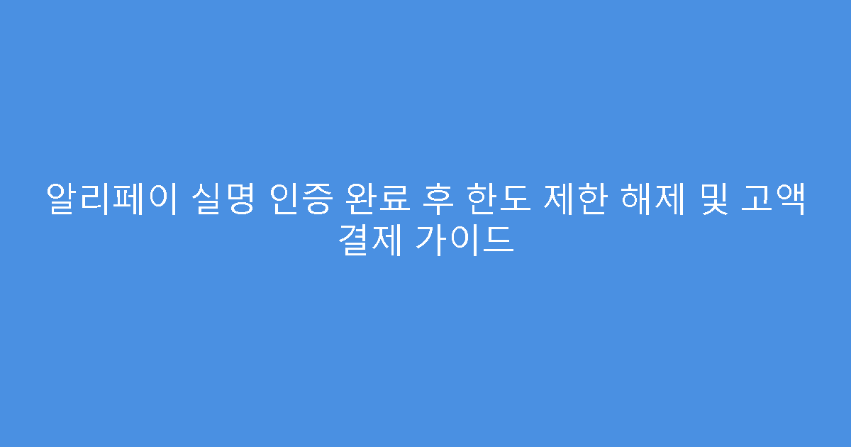 알리페이 실명 인증 완료 후 한도 제한 해제 및 고액 결제 가이드