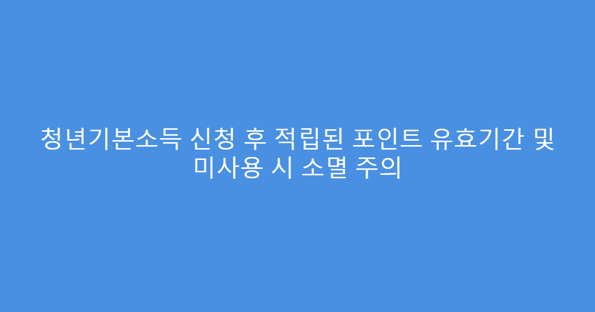 청년기본소득 신청 후 적립된 포인트 유효기간 및 미사용 시 소멸 주의