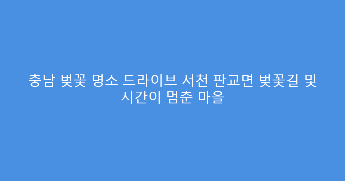 충남 벚꽃 명소 드라이브 서천 판교면 벚꽃길 및 시간이 멈춘 마을
