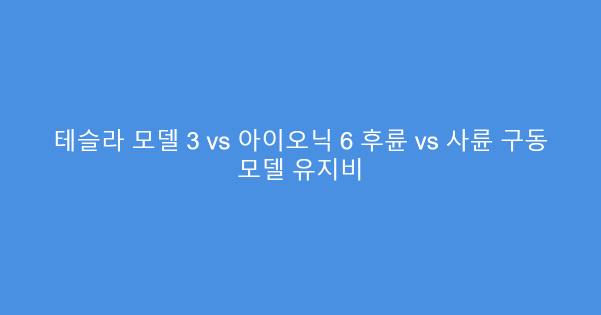 테슬라 모델 3 vs 아이오닉 6 후륜 vs 사륜 구동 모델 유지비