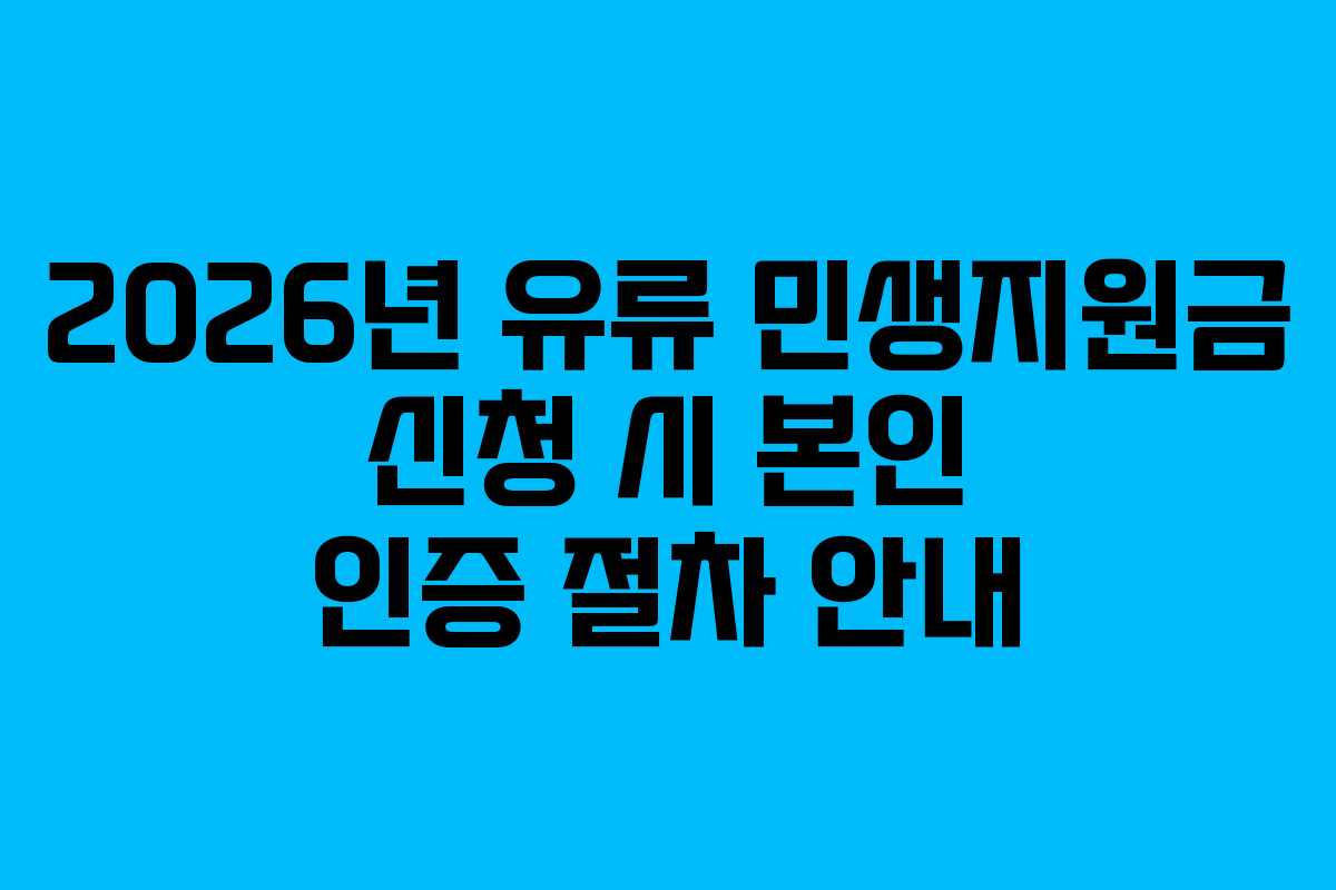 2026년 유류 민생지원금 신청 시 본인 인증 절차 안내