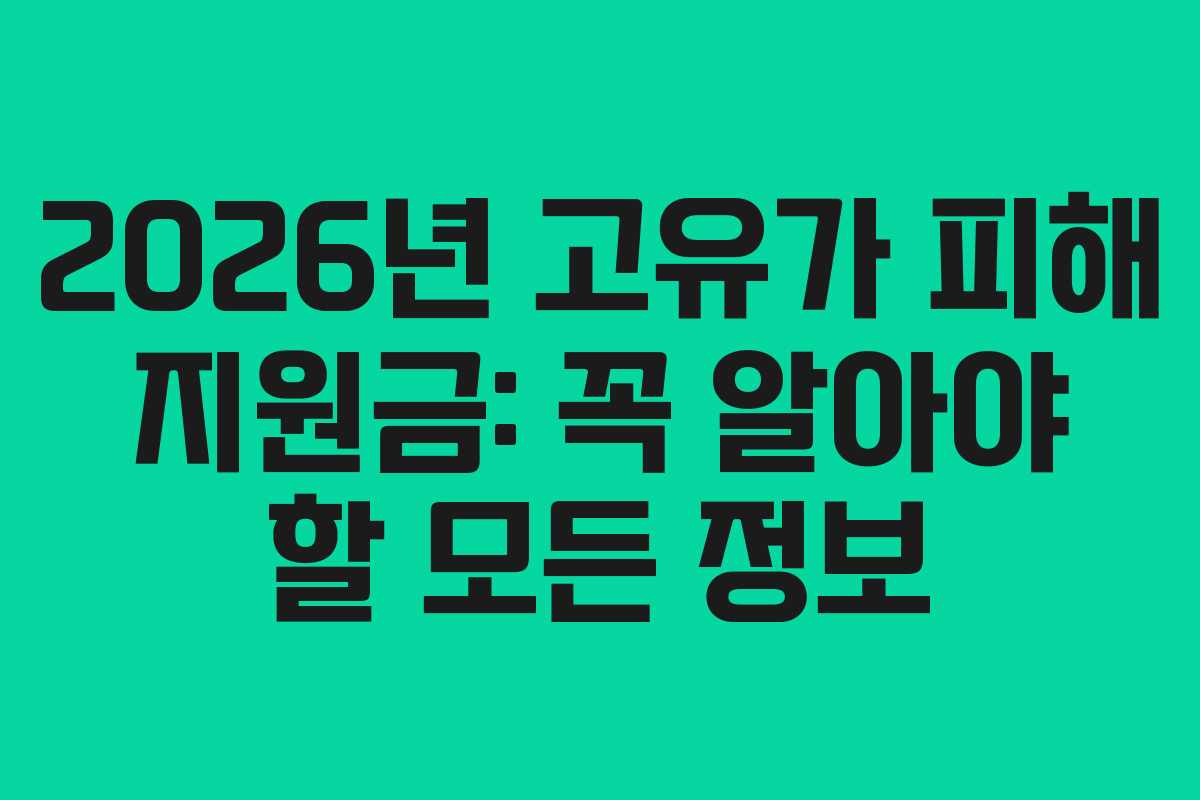 2026년 고유가 피해 지원금: 꼭 알아야 할 모든 정보