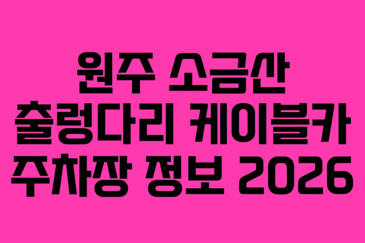 원주 소금산 출렁다리 케이블카 주차장 정보 2026