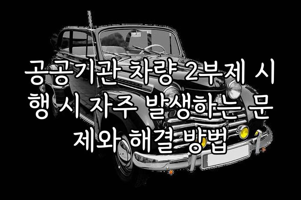 공공기관 차량 2부제 시행 시 자주 발생하는 문제와 해결 방법