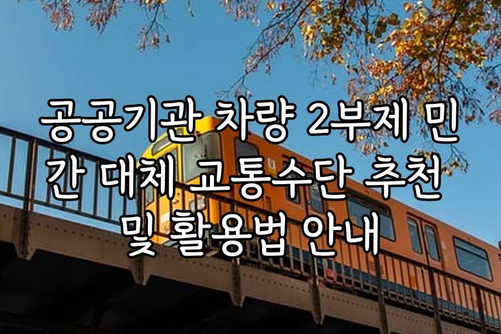 공공기관 차량 2부제 민간 대체 교통수단 추천 및 활용법 안내