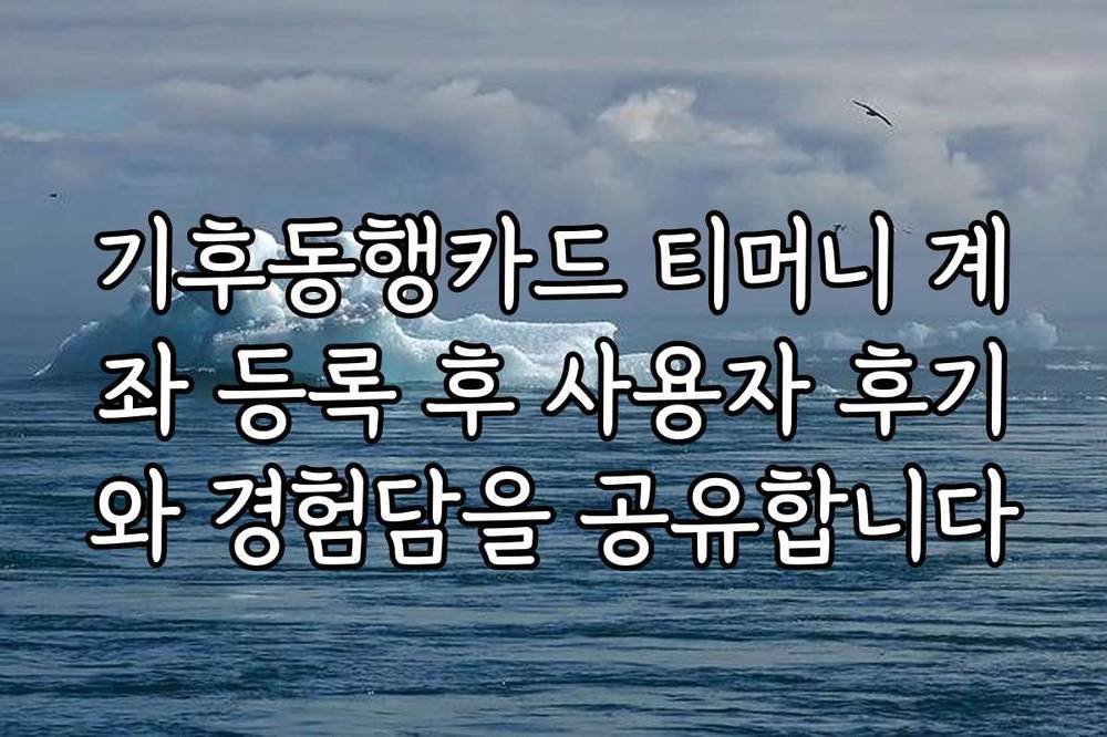 기후동행카드 티머니 계좌 등록 후 사용자 후기와 경험담을 공유합니다