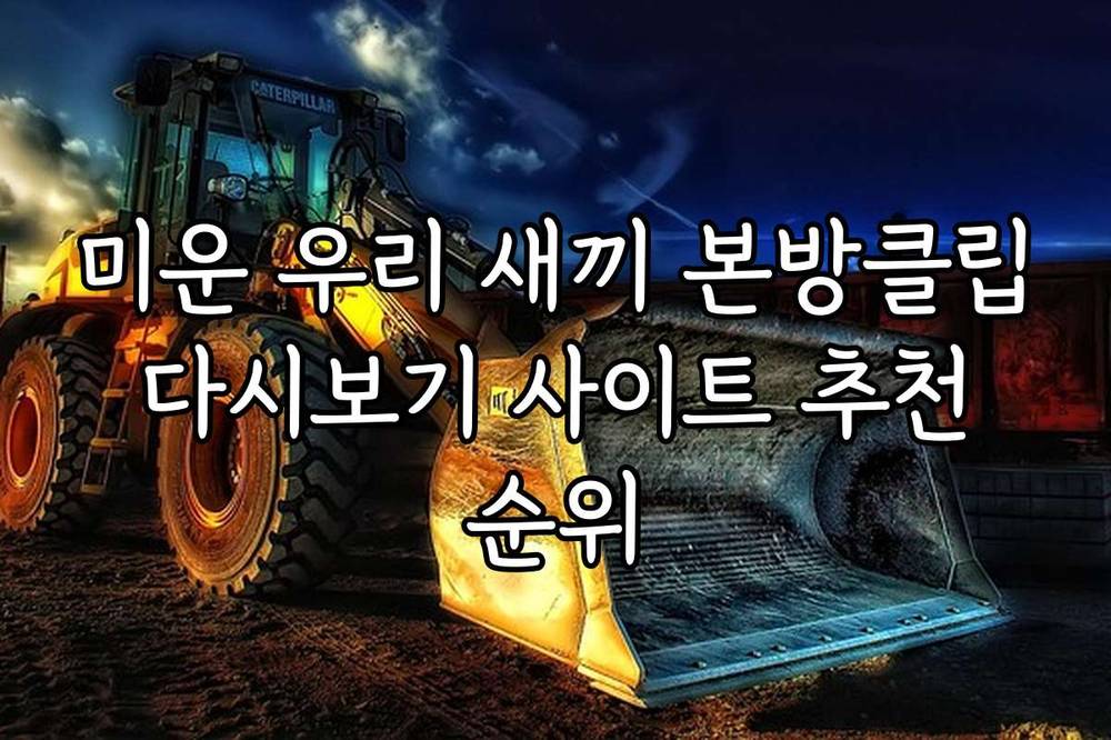 미운 우리 새끼 본방클립 다시보기 사이트 추천 순위