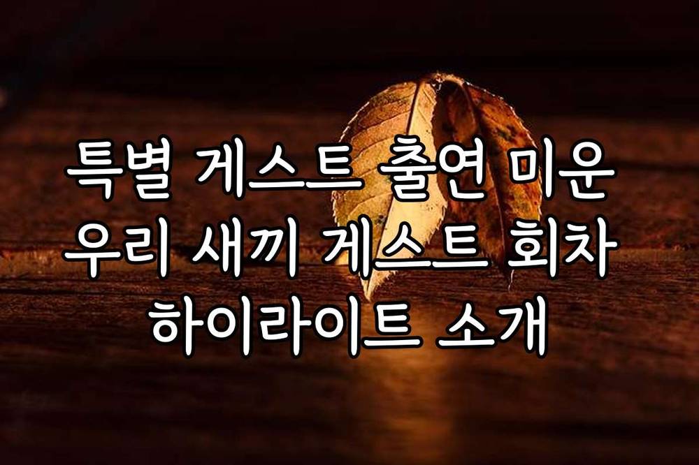 특별 게스트 출연 미운 우리 새끼 게스트 회차 하이라이트 소개