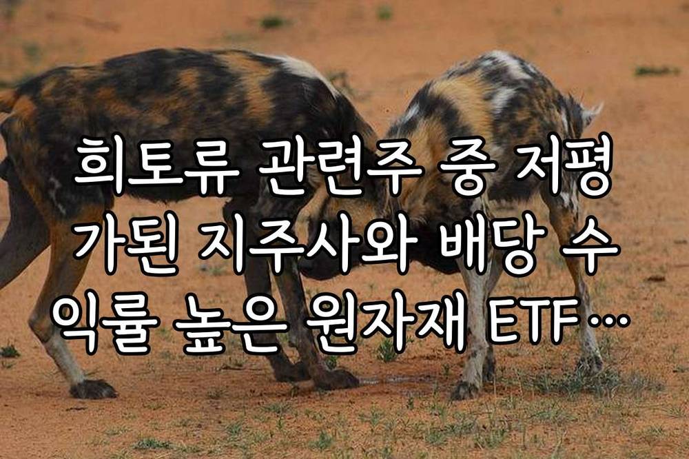 희토류 관련주 중 저평가된 지주사와 배당 수익률 높은 원자재 ETF 추천
