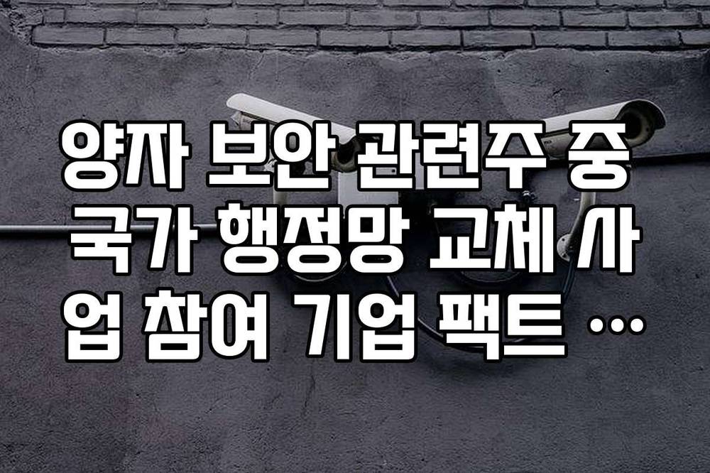 양자 보안 관련주 중 국가 행정망 교체 사업 참여 기업 팩트 체크