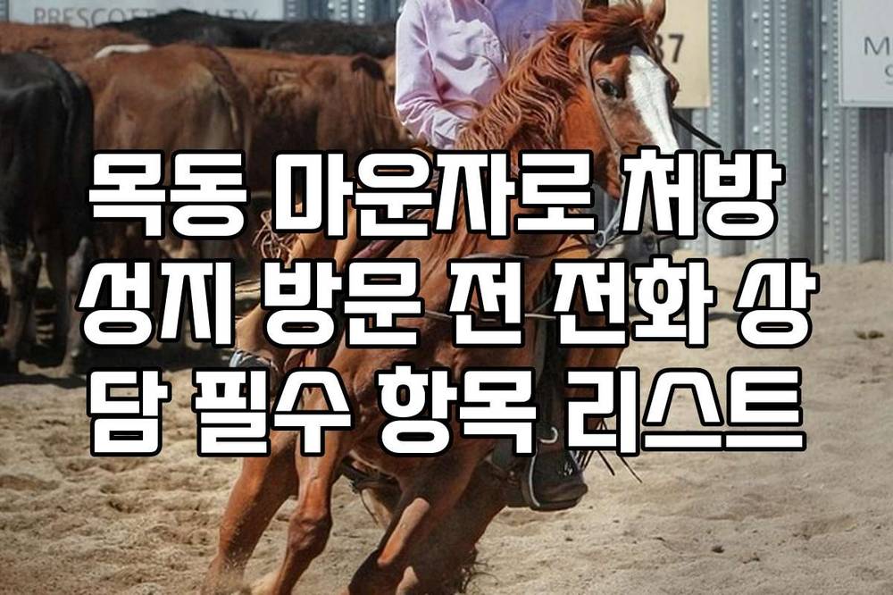 목동 마운자로 처방 성지 방문 전 전화 상담 필수 항목 리스트