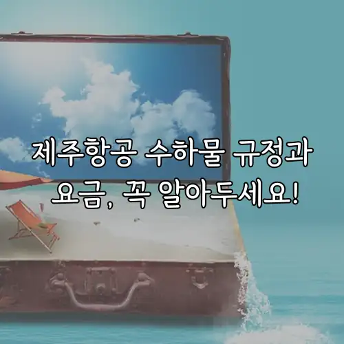 제주항공 수하물 규정과 요금, 꼭 알아두세요!