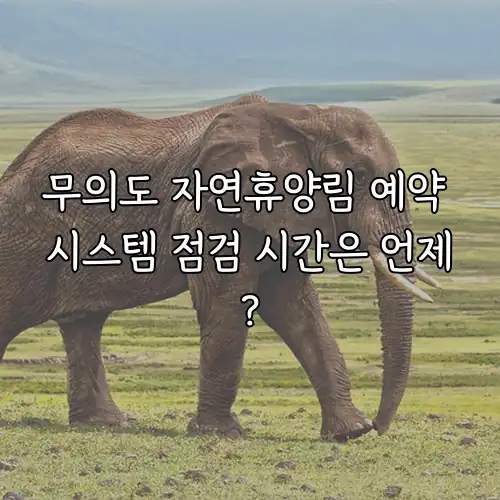 무의도 자연휴양림 예약 시스템 점검 시간은 언제?