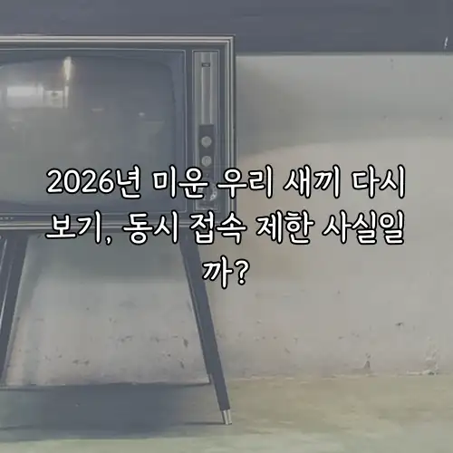 2026년 미운 우리 새끼 다시보기, 동시 접속 제한 사실일까?