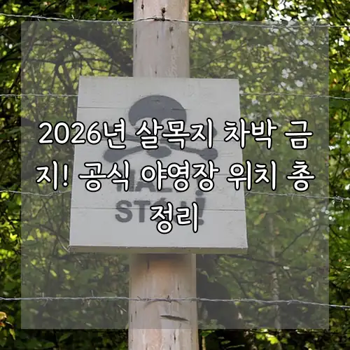 2026년 살목지 차박 금지! 공식 야영장 위치 총정리