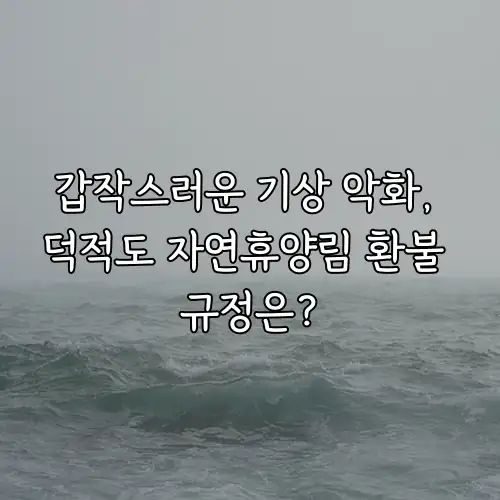 갑작스러운 기상 악화, 덕적도 자연휴양림 환불 규정은?