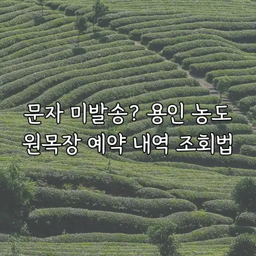 문자 미발송? 용인 농도원목장 예약 내역 조회법