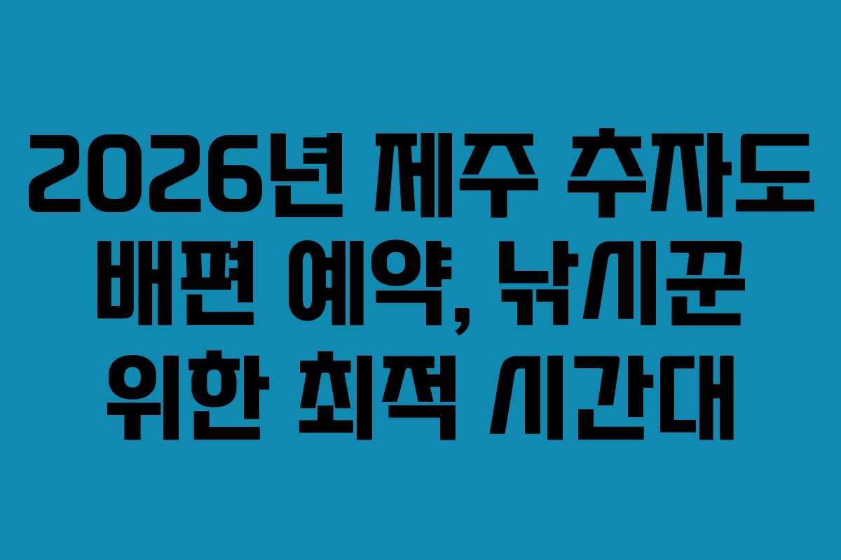 2026년-제주-추자도-배편-예약,-낚시꾼-위한-최적-시간대