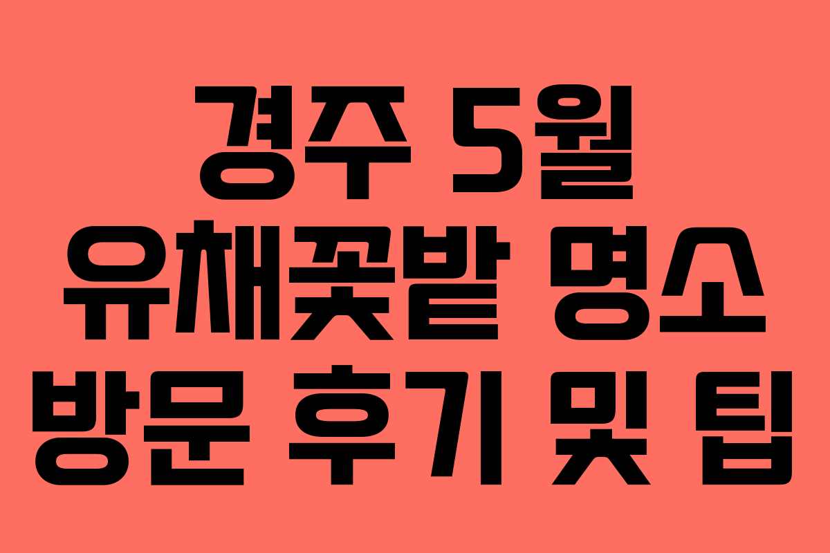 경주-5월-유채꽃밭-명소-방문-후기-및-팁