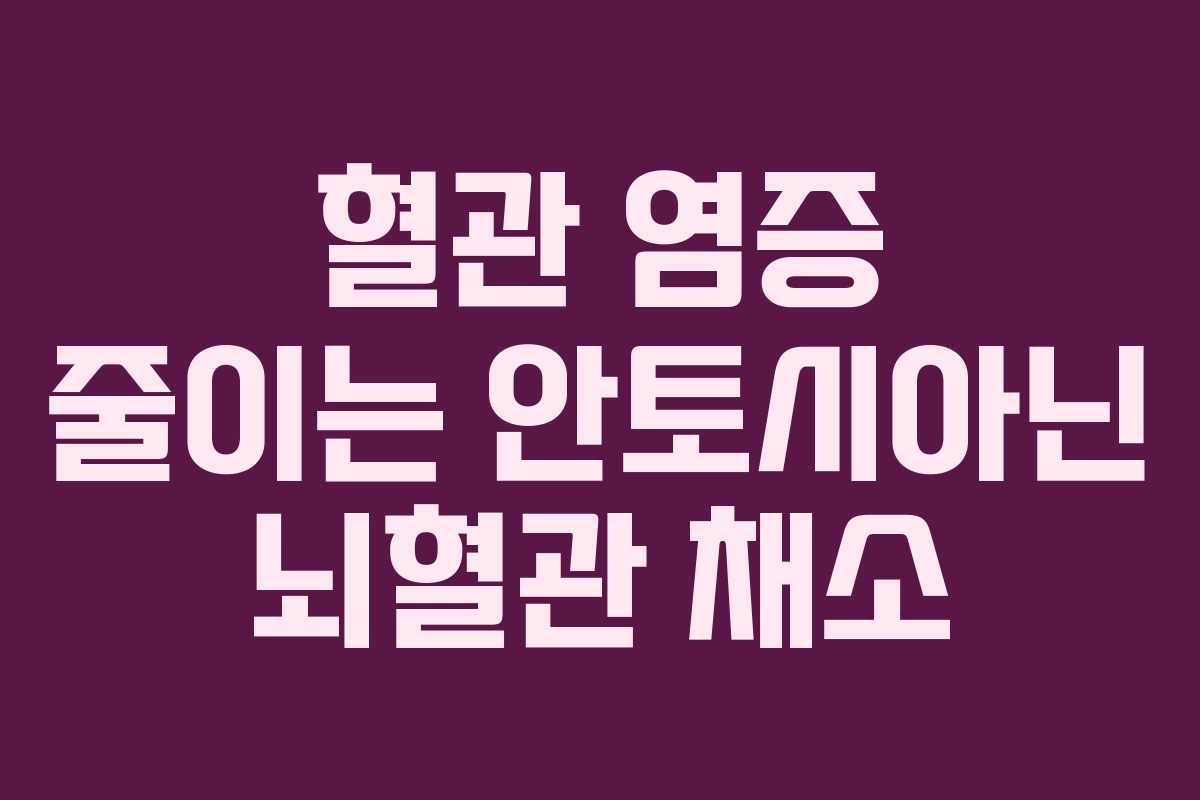 혈관-염증-줄이는-안토시아닌-뇌혈관-채소