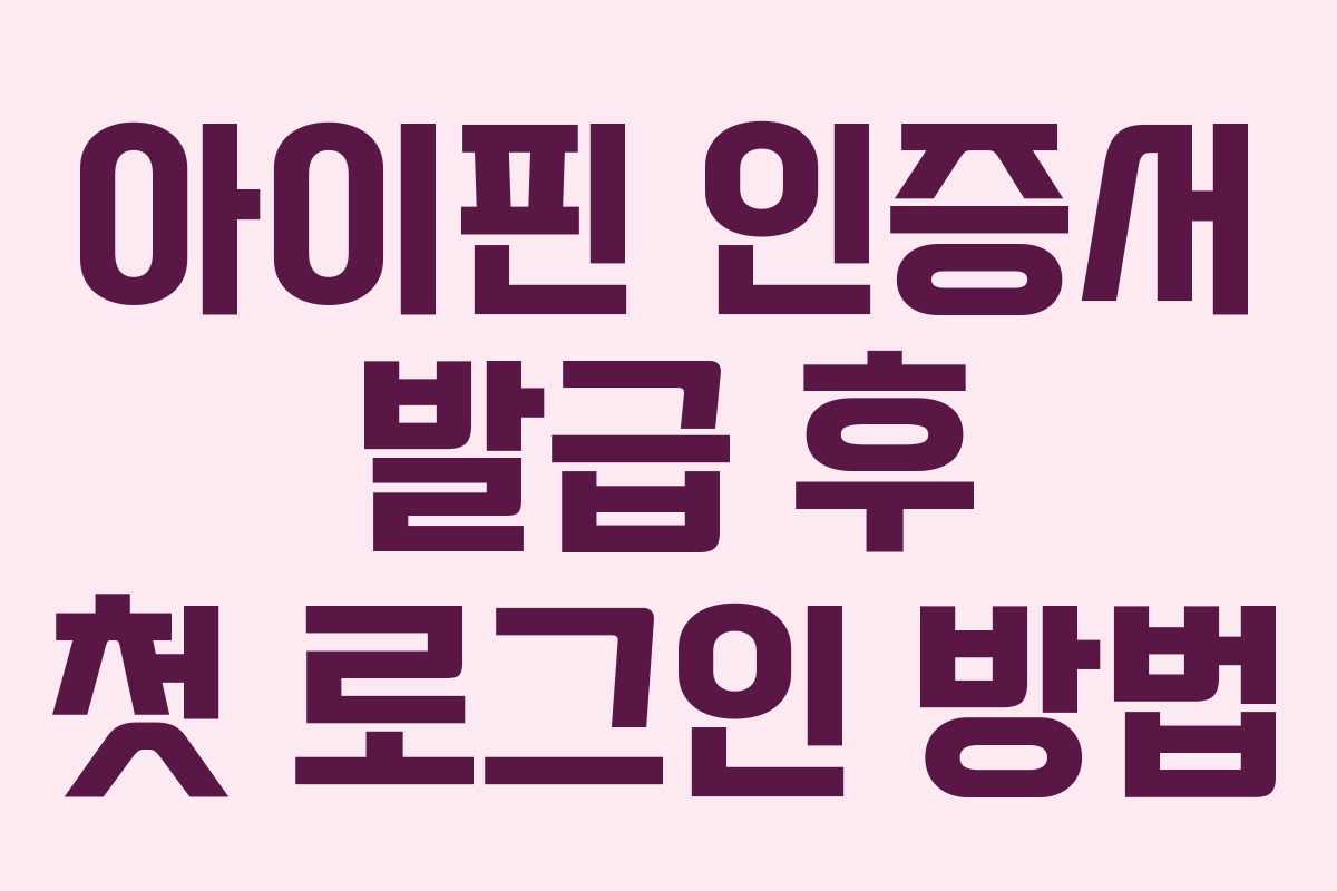 아이핀-인증서-발급-후-첫-로그인-방법