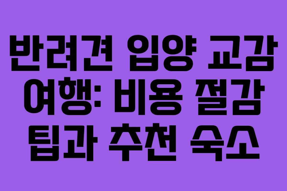 반려견-입양-교감-여행-비용-절감-팁과-추천-숙소