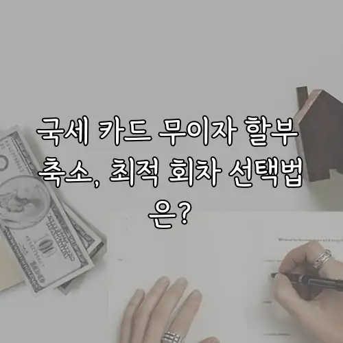 국세 카드 무이자 할부 축소, 최적 회차 선택법은?
