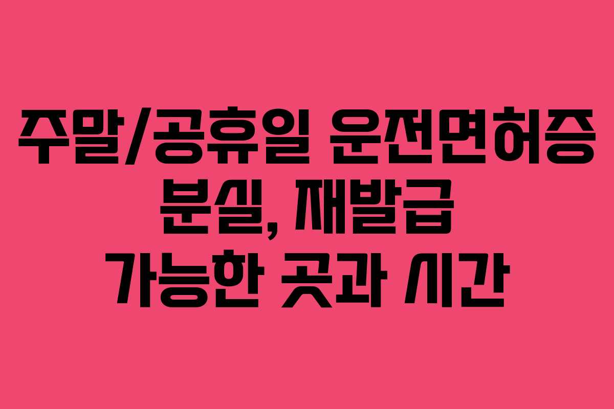 주말공휴일-운전면허증-분실,-재발급-가능한-곳과-시간