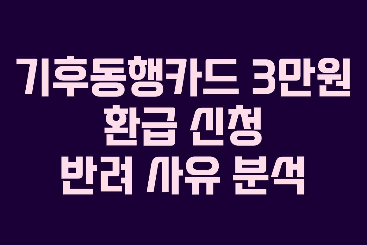 기후동행카드-3만원-환급-신청-반려-사유-분석