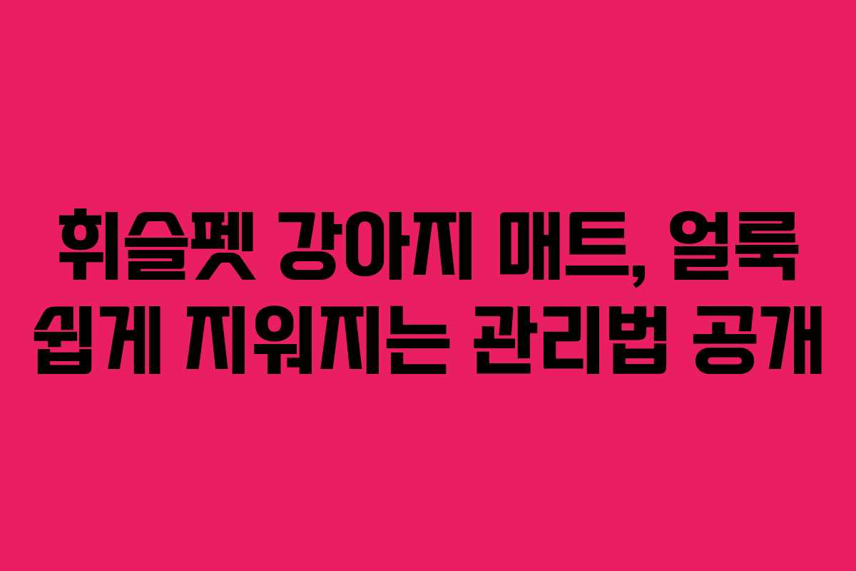 휘슬펫-강아지-매트,-얼룩-쉽게-지워지는-관리법-공개